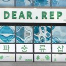 디어렙