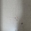 센텀 마치 오피스텔 | 김해 삼계동 코아루센텀 오피스텔 입주청소, 새집처럼 깔끔한 마무리