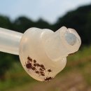 밤마리권역 이미지