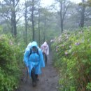 수북농협주유소 이미지