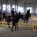 홍성군승마장 이미지