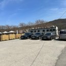 도그아일랜드 이미지