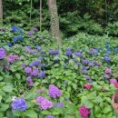 가원약국 이미지