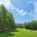 남산 그라운드 골프장 이미지