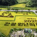여주-1124 티스토리