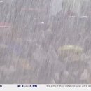 이정도우 이미지