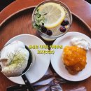 감나무한의원 | 동성로 카페 추천 코즈, 스콘 맛집 인정한 반월당 디저트카페 COZ