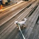 잠원역 4번출구 뒤 이미지