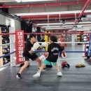 이은혜 복싱클럽 이미지