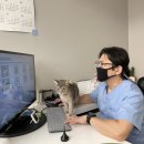 금천동물병원 이미지