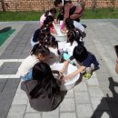 단재초등학교 이미지