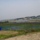 명기농장 이미지