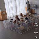 영화유치원 Daum카페