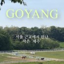 원흥목장 | 고양, 서울근교 말 보러 아기랑 함께 | 원당목장 주차, 카페 정보와 피크닉하기 좋은곳 방문 후기
