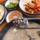 설악추어탕 한모듬 | 당진 시장 순대국 맛집 설악추어탕, 한모둠순대국 / 읍내동 맛집