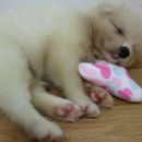 써니지니 이미지