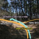석장 이미지