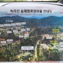 속리산숲체험휴양마을 이미지