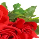 은파약국 이미지