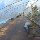 연동2농장 이미지