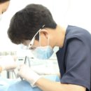 서울락치과의원 네이버블로그