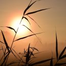 신한행정사 이미지