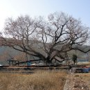 입석