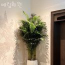 예림화원 이미지