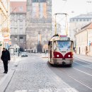 행복도시투어 이미지