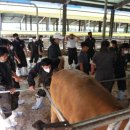 신안축산 이미지