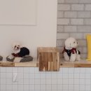 리츠펫 이시아폴리스점 이미지