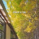 통일로1267번길 이미지