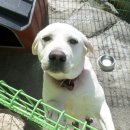 에덴펜션 이미지