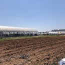 부천농장 이미지