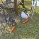 네비스토리 이미지