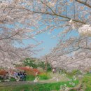 예래입구 이미지