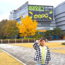 정부청사 입구(대덕대로) | 대전 아이와 가볼만한 곳 추천 국립중앙과학관 주차 및 방문후기