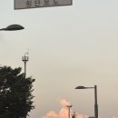 초록별한의원 | [광나루 맛집] 여름철 보양식 회식! 지호한방삼계탕 광장점 내돈내산 방문기 🐔✨