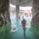 써니존 사우나 | 서울 근교 온천 스파 추천｜당일치기로 힐링 가능한 곳 (추위 싹 녹이는 코스)