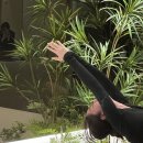 직장인을 위한 요가 이미지