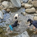 지리산밀드플레