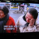 6시내고향 Daum카페