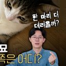 외동 이미지