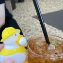 오리여행 이미지