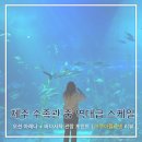 제주해양과학관 (아쿠아플라넷) | 🐠 제주 아쿠아플라넷 후기｜오션 아레나·해양수조·카페까지 한 번에 즐긴 내돈내산 리뷰