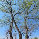 청풍문화재단지(淸風文化財團) 이미지