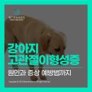 성일동물병원 이미지