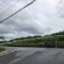 쌍용마을입구