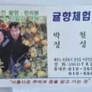 귤향체험농장