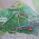 평창자연휴양림 이미지